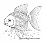 Distinct Rainbow Fish Species Coloring Pages 1