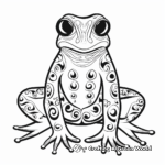 Distinct Varieties of Poison Dart Frogs Coloring Pages 2