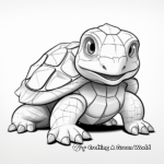 DIY Snapping Turtle Shell Pattern Coloring Sheets 1