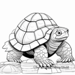 DIY Snapping Turtle Shell Pattern Coloring Sheets 2