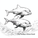 Dolphins Swimming Together Coloring Pages 2