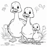 Domestic Ducks Coloring Pages 1