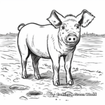 Domestic Pig in Muddy Field Coloring Pages 2