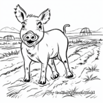 Domestic Pig in Muddy Field Coloring Pages 3