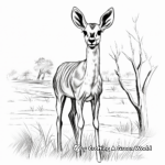 Dorcas Gazelle Coloring Pages for Children 2