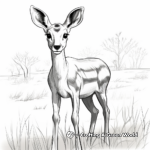 Dorcas Gazelle Coloring Pages for Children 4