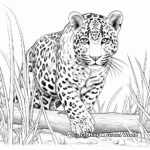 Dramatic Leopard Wildcat Coloring Pages 4