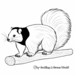 Dramatic Striped Skunk Coloring Pages 3