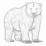 Drawing-Inspired Polar Bear Coloring Pages for Adults 2