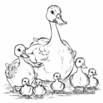 Duck Family Coloring Pages: Male, Female, and Ducklings 1