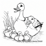 Duck Family Coloring Pages: Male, Female, and Ducklings 3