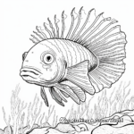 Dwarf Lionfish Coloring Pages 1