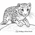 Dynamic Action Leopard Gecko Coloring Pages 2