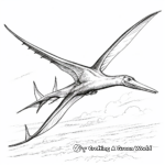 Dynamic Quetzalcoatlus Soaring the Sky Coloring Pages 1