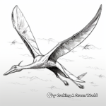 Dynamic Quetzalcoatlus Soaring the Sky Coloring Pages 2