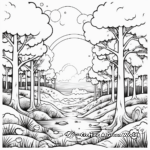 Early Morning Misty Forest Coloring Pages 4