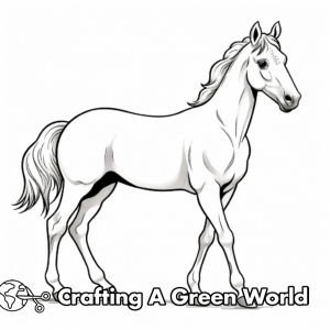 Arabian Horse Coloring Pages - Free &amp; Printable!