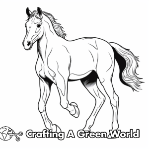 Arabian Horse Coloring Pages - Free &amp; Printable!
