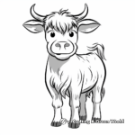Easy Highland Cow Coloring Pages for Kids 2