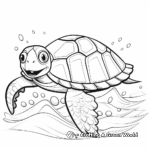 Easy Sea Turtle Shell Coloring Pages for Preschoolers 1