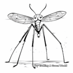 Educational Daddy Long Legs Anatomy Coloring Pages 3