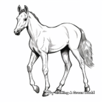 Elegant Dressage Foal Coloring Pages 4