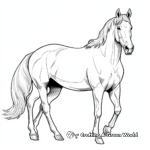Elegant Palomino Horse Coloring Pages 2