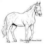 Elegant Palomino Horse Coloring Pages 4