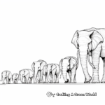 Elephant Parade: Group of Elephants Coloring Pages 1