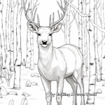 Elk Amongst Aspen Trees Coloring Pages 2