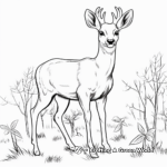 Elk During Fall: Seasonal Coloring Pages 1
