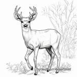 Elk During Fall: Seasonal Coloring Pages 2