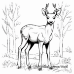 Elk During Fall: Seasonal Coloring Pages 3
