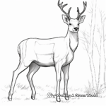 Elk During Fall: Seasonal Coloring Pages 4