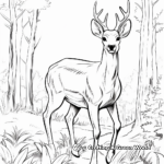 Elk in the Wilderness Coloring Pages 1