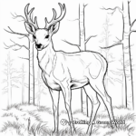 Elk in the Wilderness Coloring Pages 2