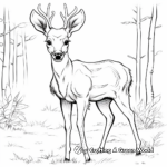 Elk in the Wilderness Coloring Pages 4