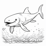 Enchanting Beluga Whale Coloring Pages 1