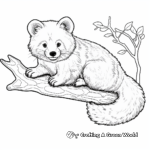 Endangered Red Panda Coloring Pages 2