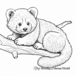 Endangered Red Panda Coloring Pages 4