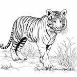 Endangered Siberian Tiger Coloring Pages 2