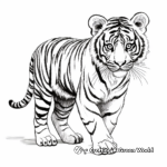Endangered Siberian Tiger Coloring Pages 4