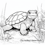 Endangered Snapping Turtle Species Coloring Sheets 1