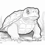 Endangered Snapping Turtle Species Coloring Sheets 2
