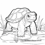 Endangered Snapping Turtle Species Coloring Sheets 3