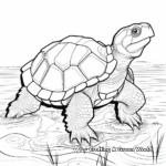Endangered Snapping Turtle Species Coloring Sheets 4