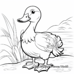 Endangered Species: Hawaiian Duck Coloring Pages 1