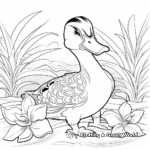 Endangered Species: Hawaiian Duck Coloring Pages 2