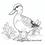 Endangered Species: Hawaiian Duck Coloring Pages 4