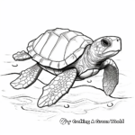 Endangered Species: Kemp's Ridley Turtle Coloring Pages 1